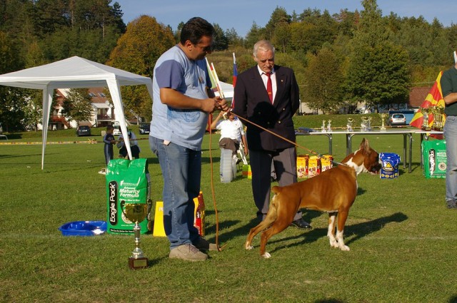 www.boxer-show.eu
